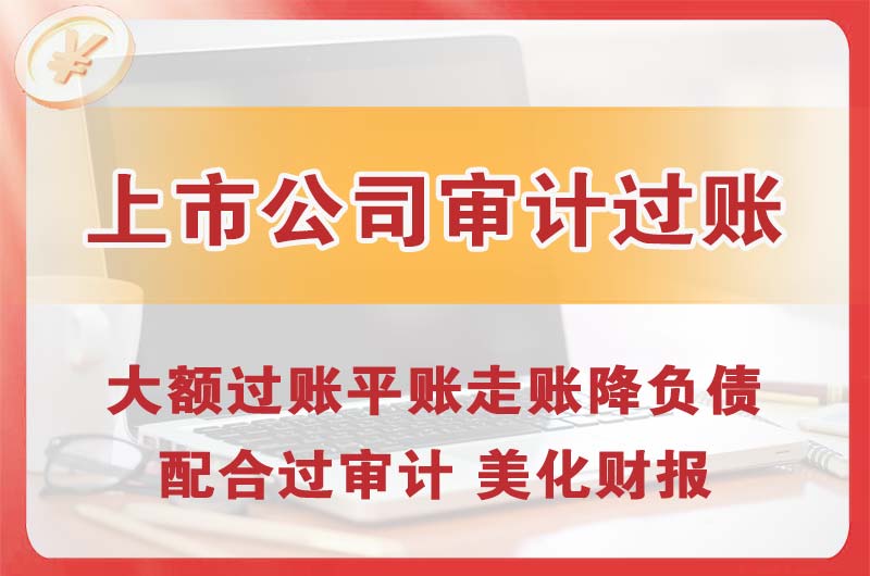 阳江上市公司审计过账